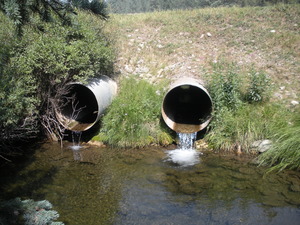 20170815_wsct_habitat_survey_beaver_hanging_culvert